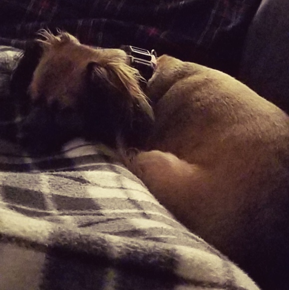 Meet your Posher, Mele - Picture 3 of 3